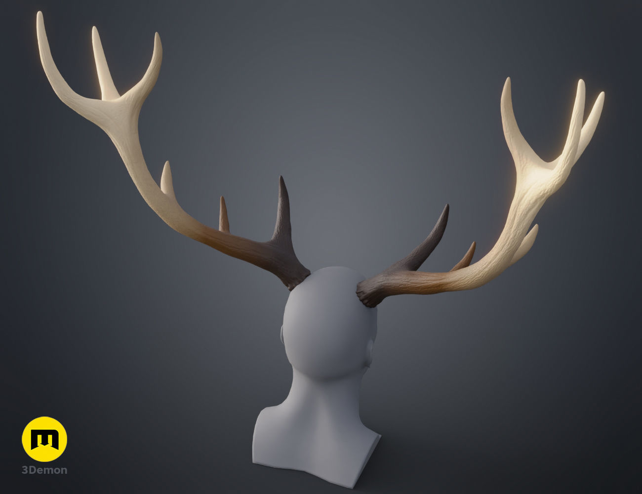 Red Deer antlers 3D print model_21