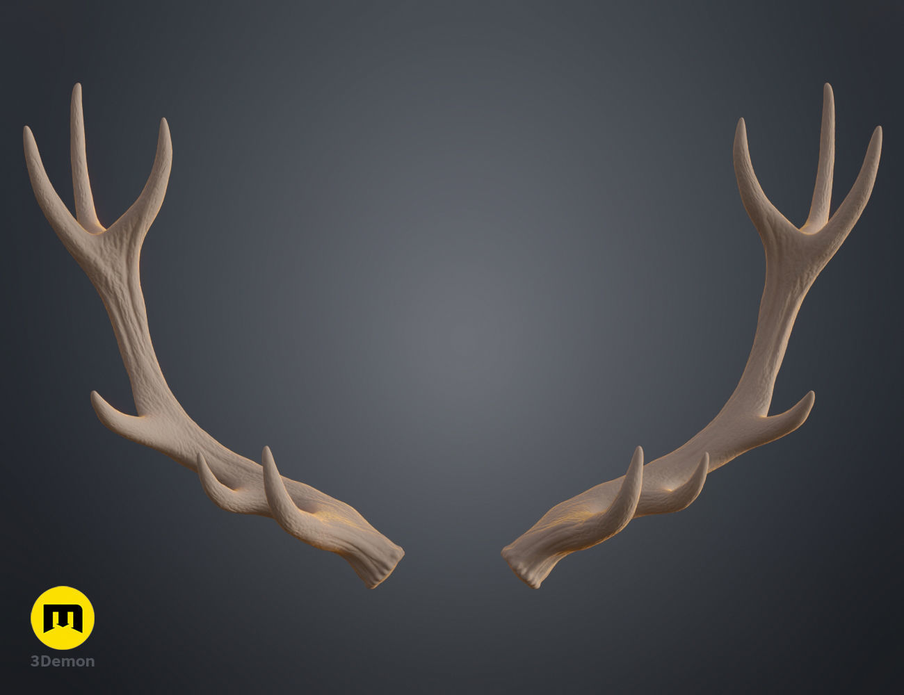 Red Deer antlers 3D print model_23