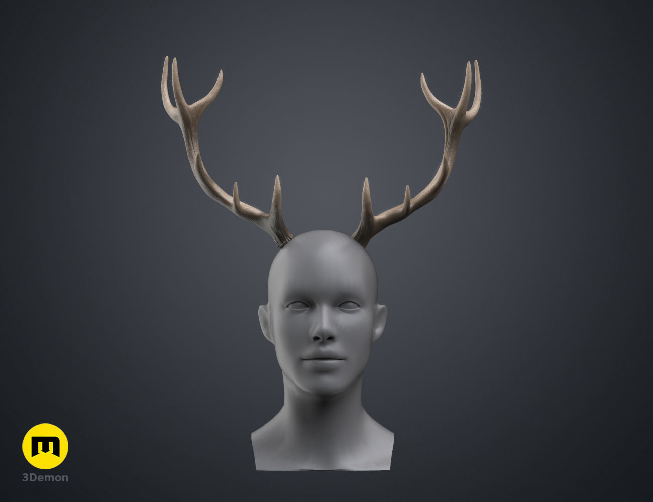 Red Deer antlers 3D print model_18