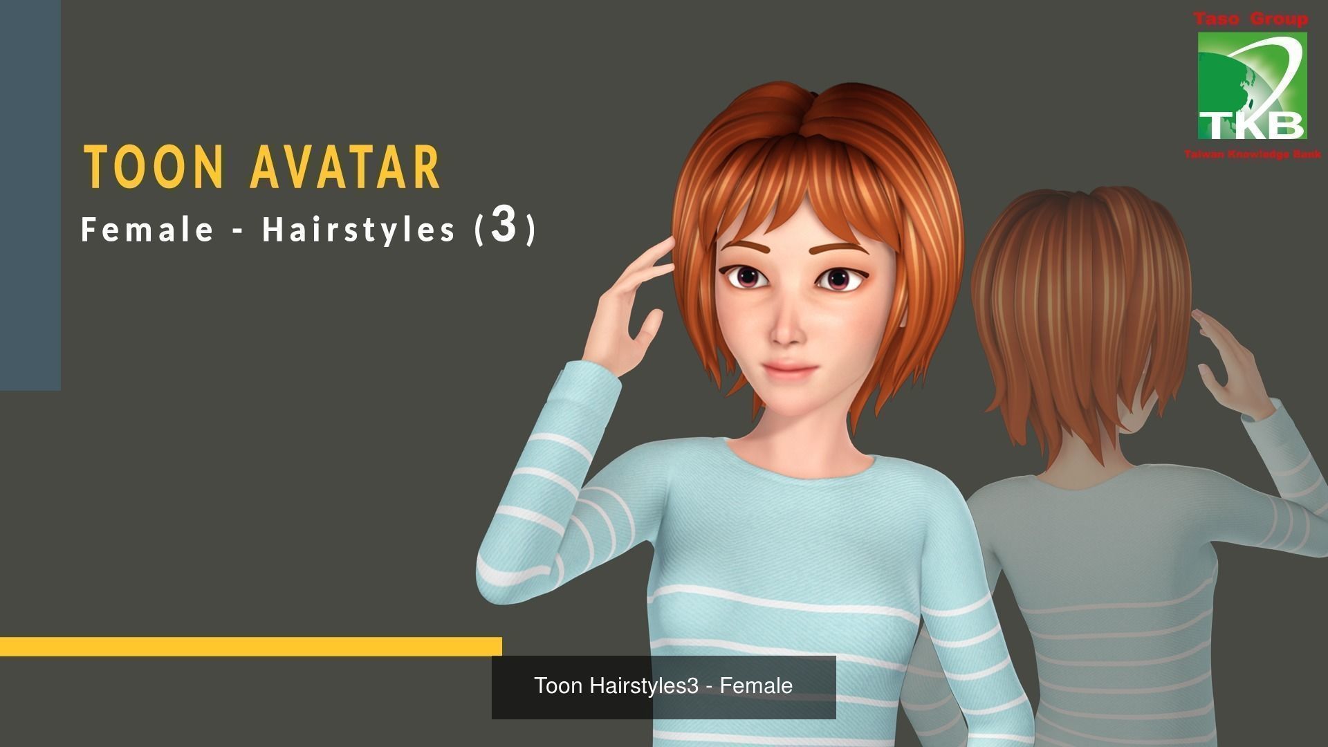 Toon Hairstyles Pack - Female 3D Model Collection_3