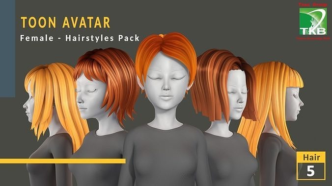 Toon Hairstyles Pack - Female 3D Model Collection