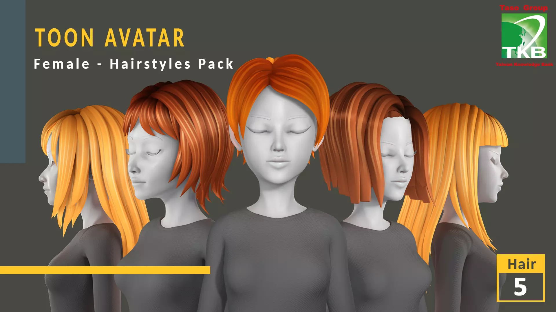Toon Hairstyles Pack - Female 3D Model Collection_0