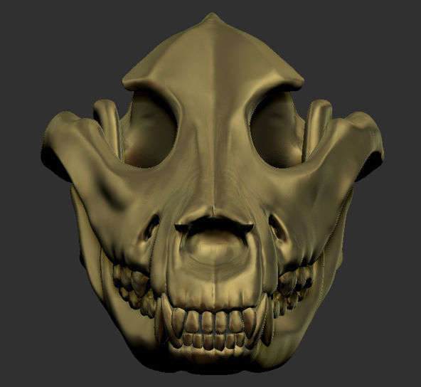 Dog Skull Bone 3D print model_2