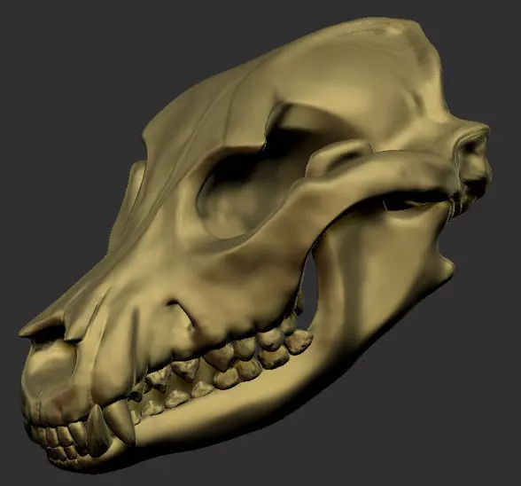 Dog Skull Bone 3D print model_0