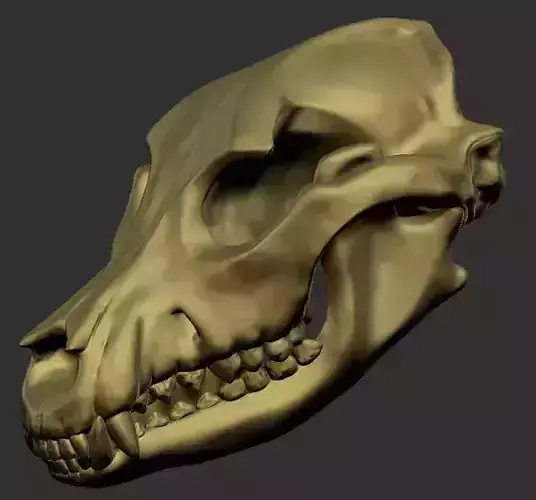 Dog Skull Bone