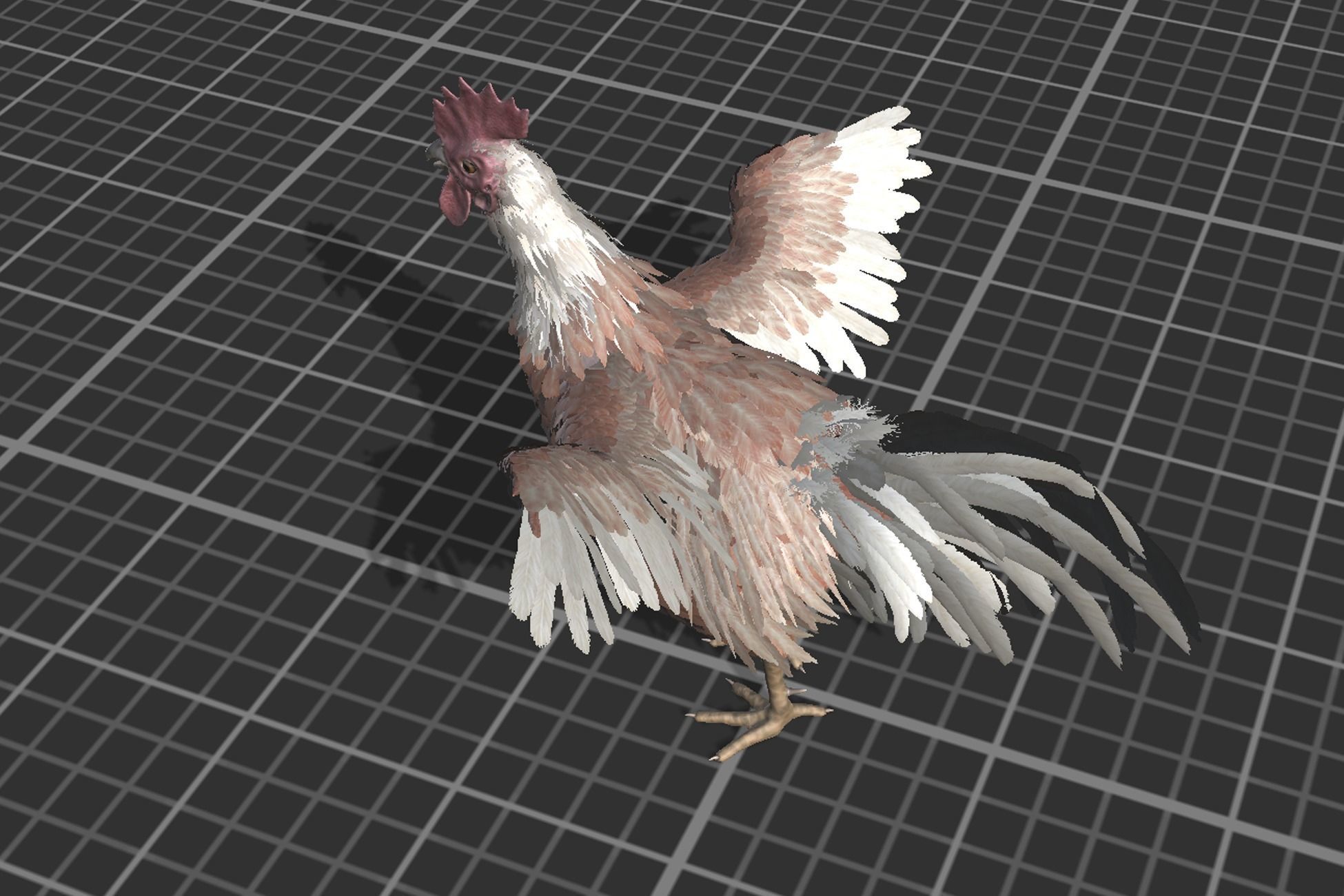 Pack of feathered chickens Low-poly 3D model_28