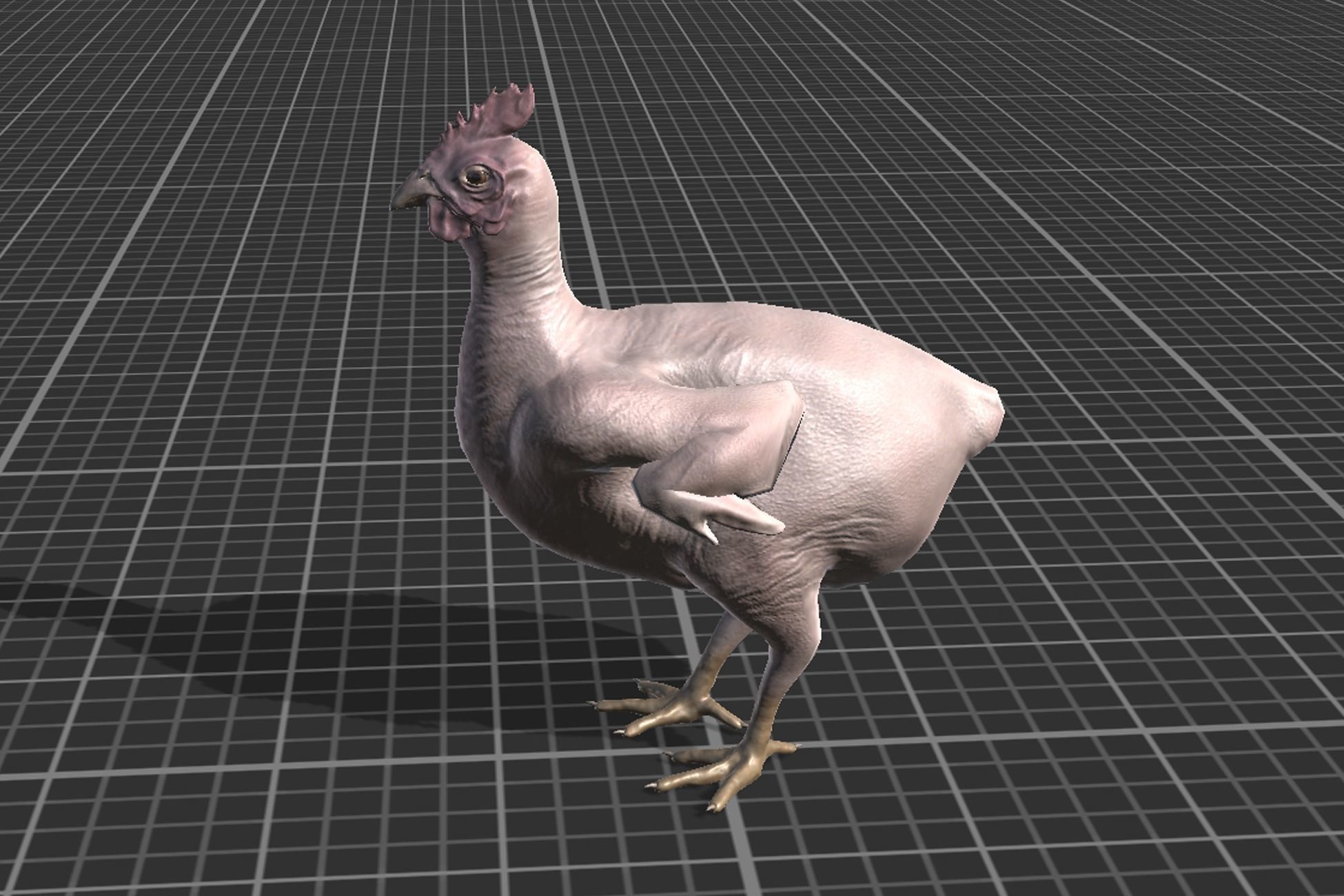 Pack of feathered chickens Low-poly 3D model_14