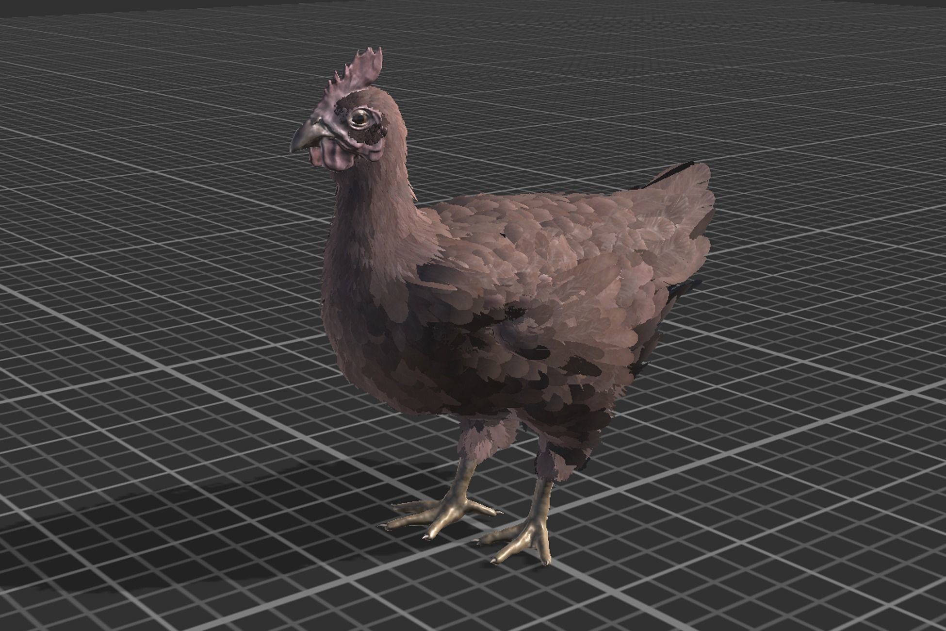 Pack of feathered chickens Low-poly 3D model_13
