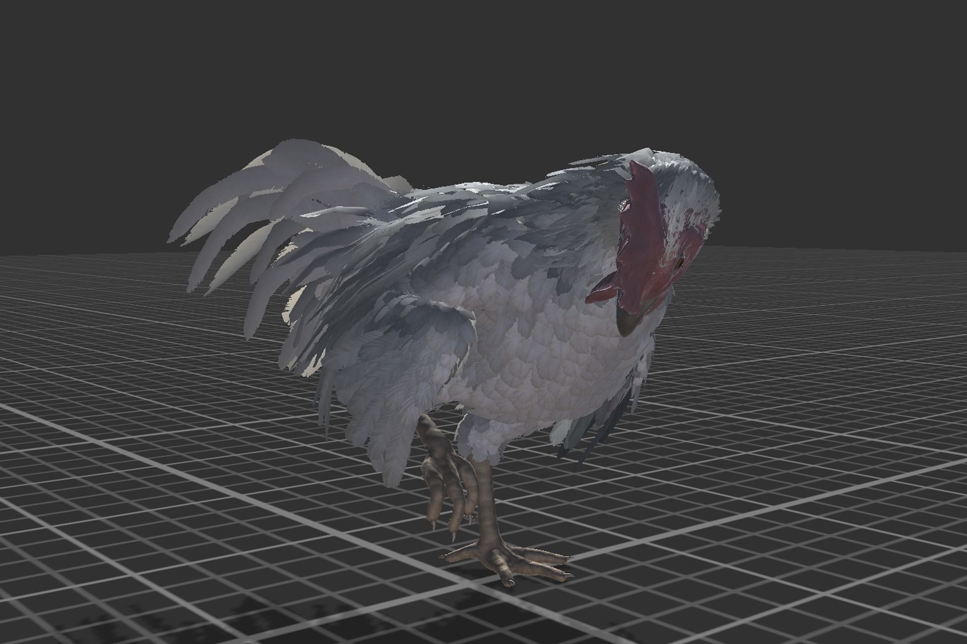 Pack of feathered chickens Low-poly 3D model_24