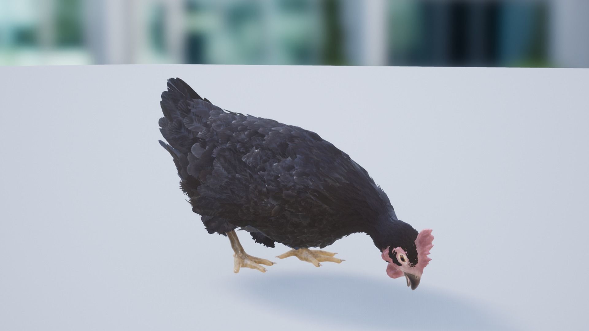 Pack of feathered chickens Low-poly 3D model_19