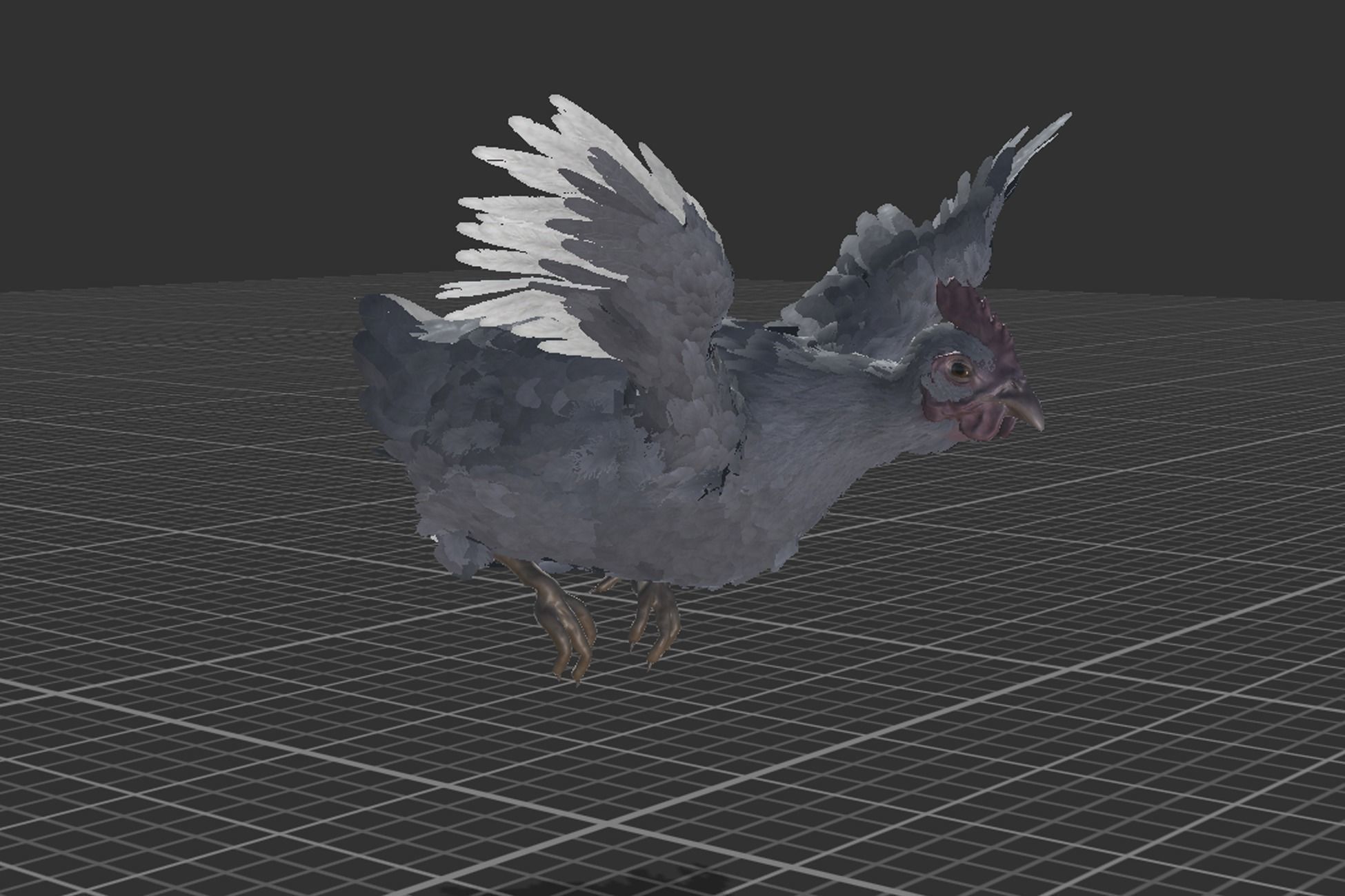 Pack of feathered chickens Low-poly 3D model_11