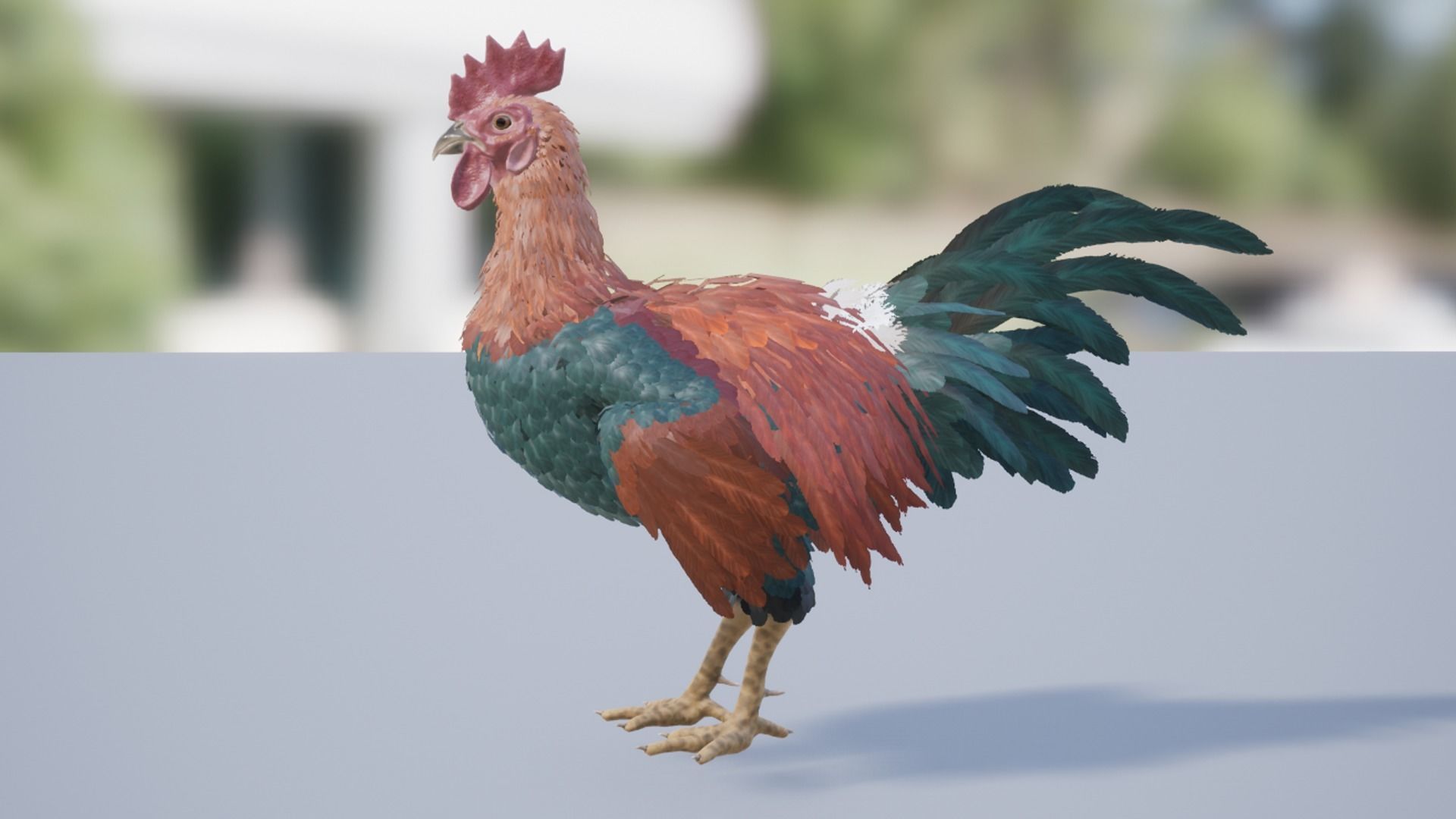 Pack of feathered chickens Low-poly 3D model_31