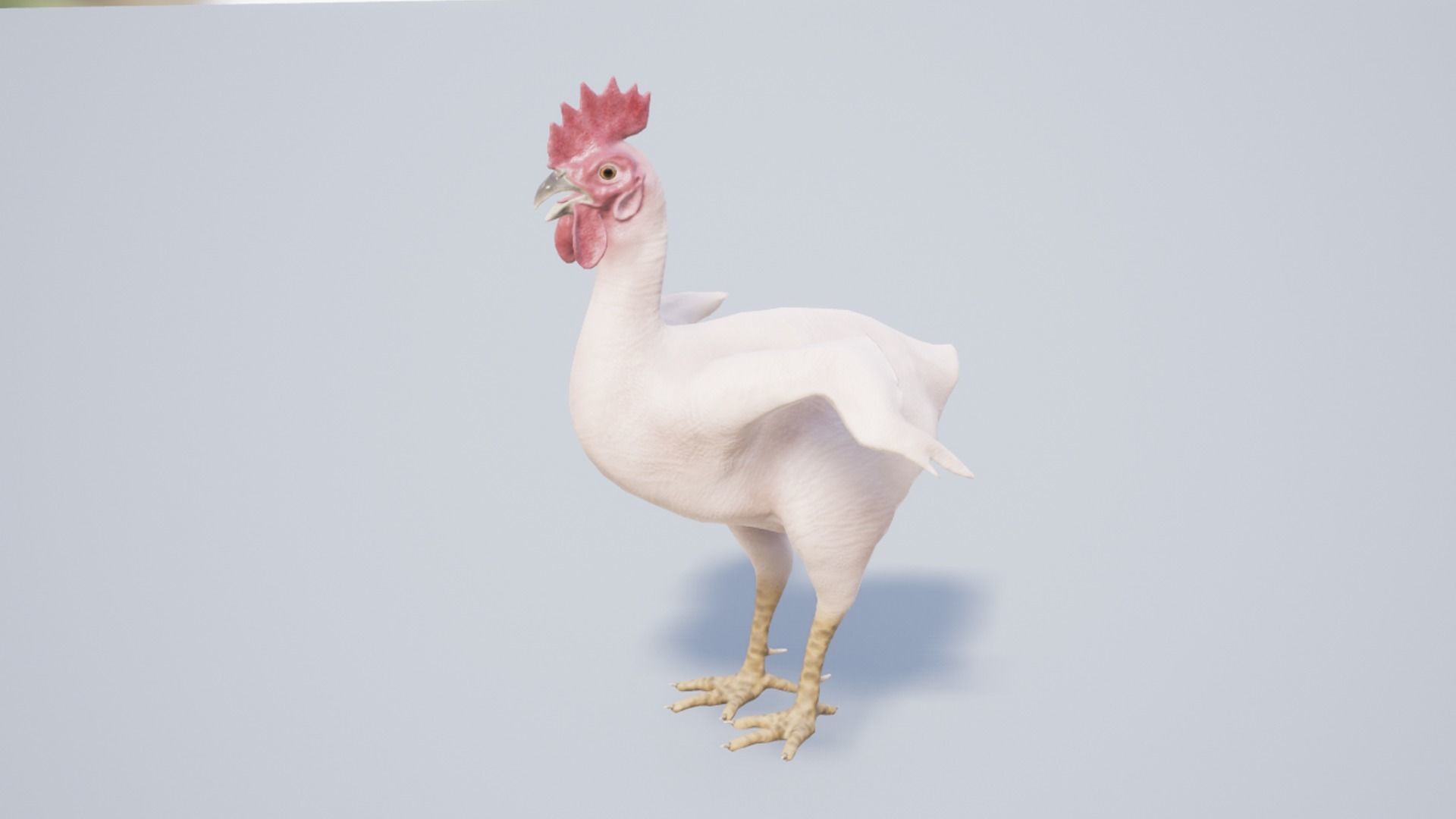 Pack of feathered chickens Low-poly 3D model_30