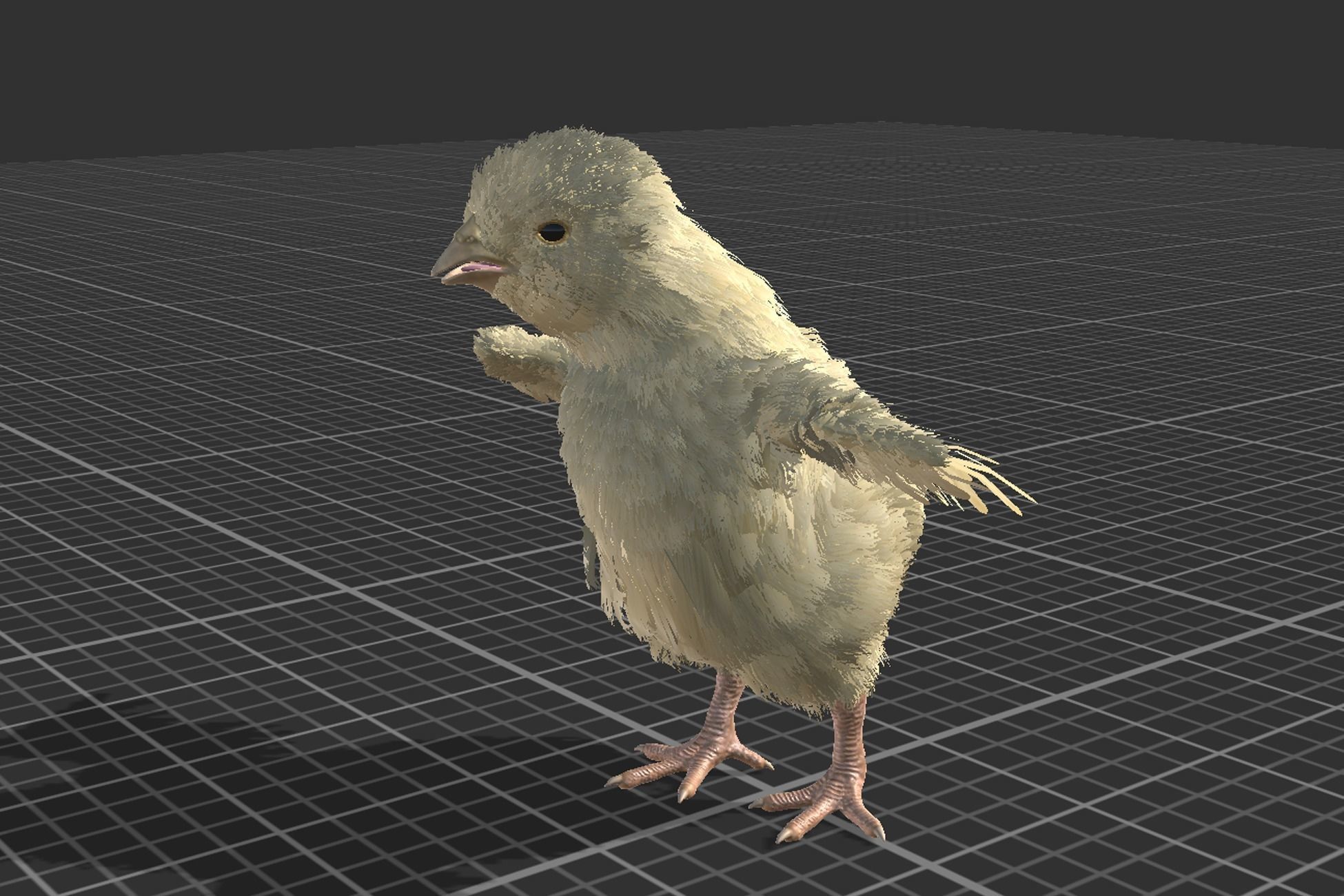 Pack of feathered chickens Low-poly 3D model_6