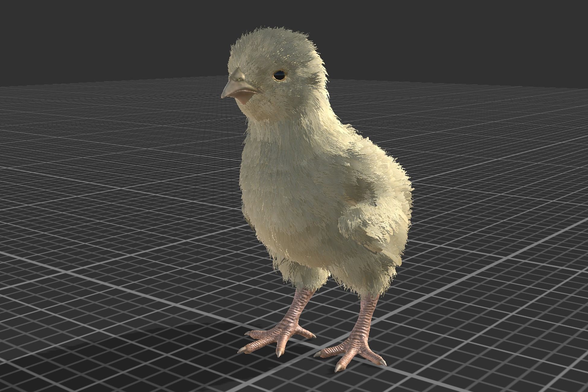 Pack of feathered chickens Low-poly 3D model_5