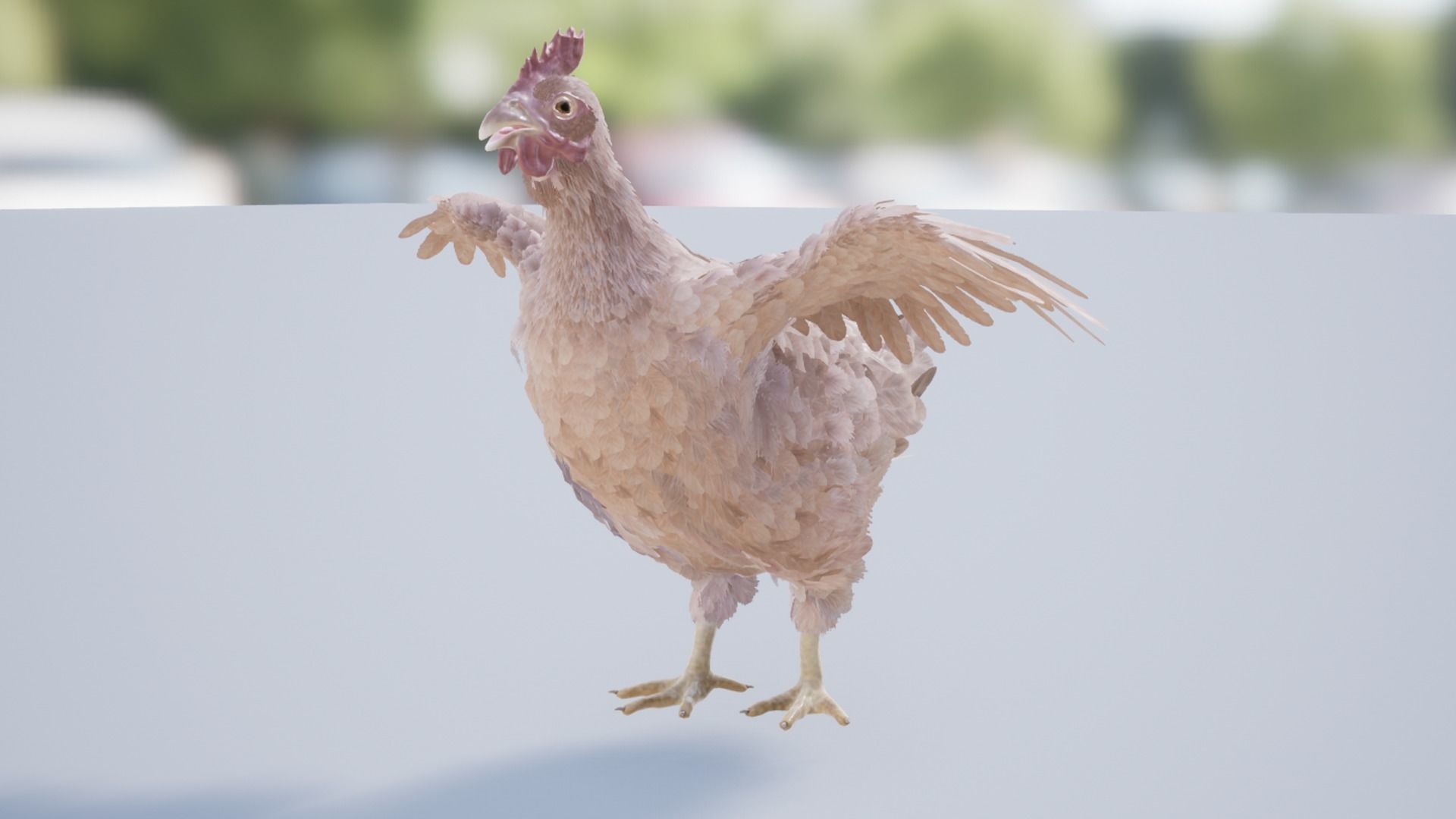 Pack of feathered chickens Low-poly 3D model_21