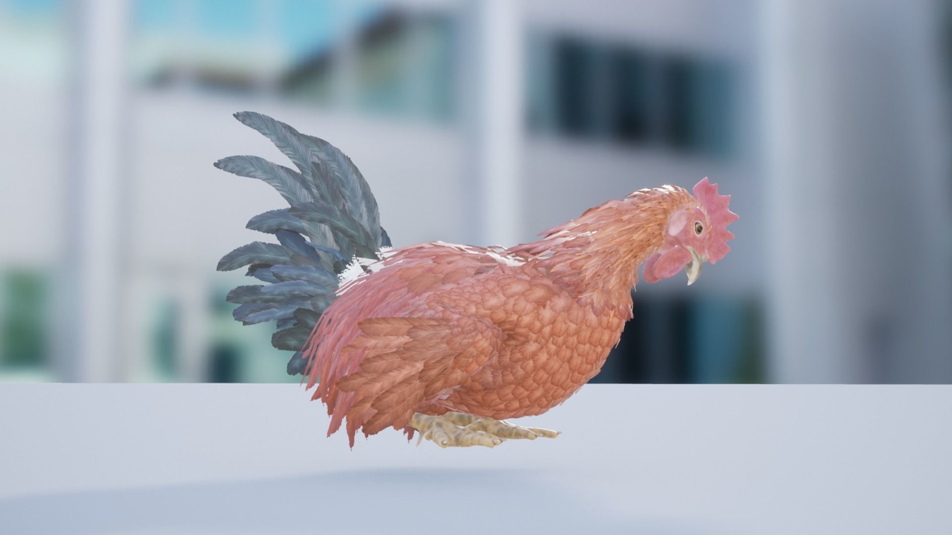 Pack of feathered chickens Low-poly 3D model_35