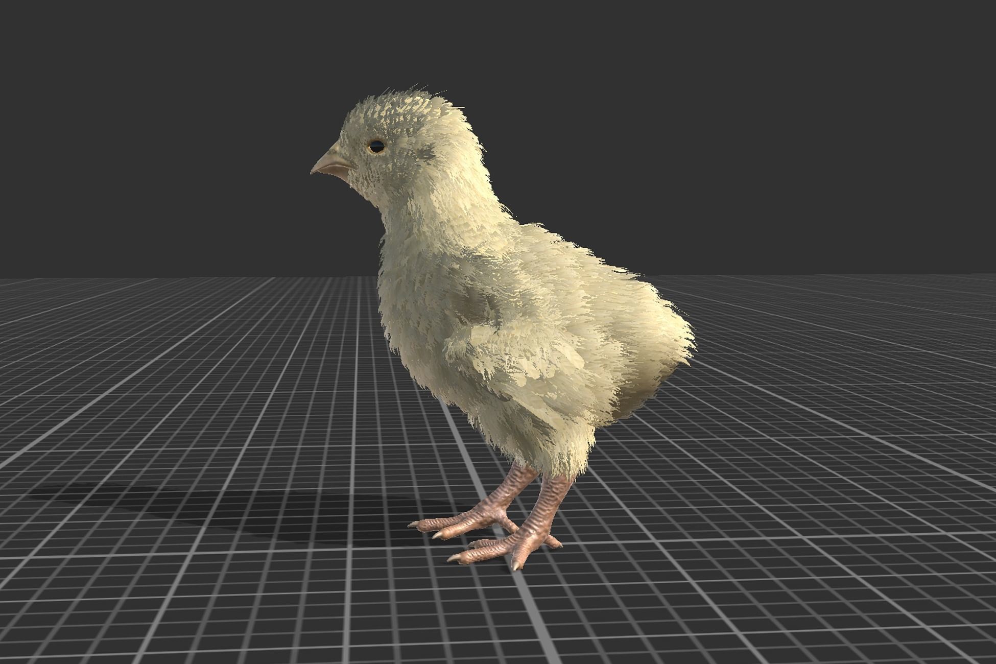 Pack of feathered chickens Low-poly 3D model_4