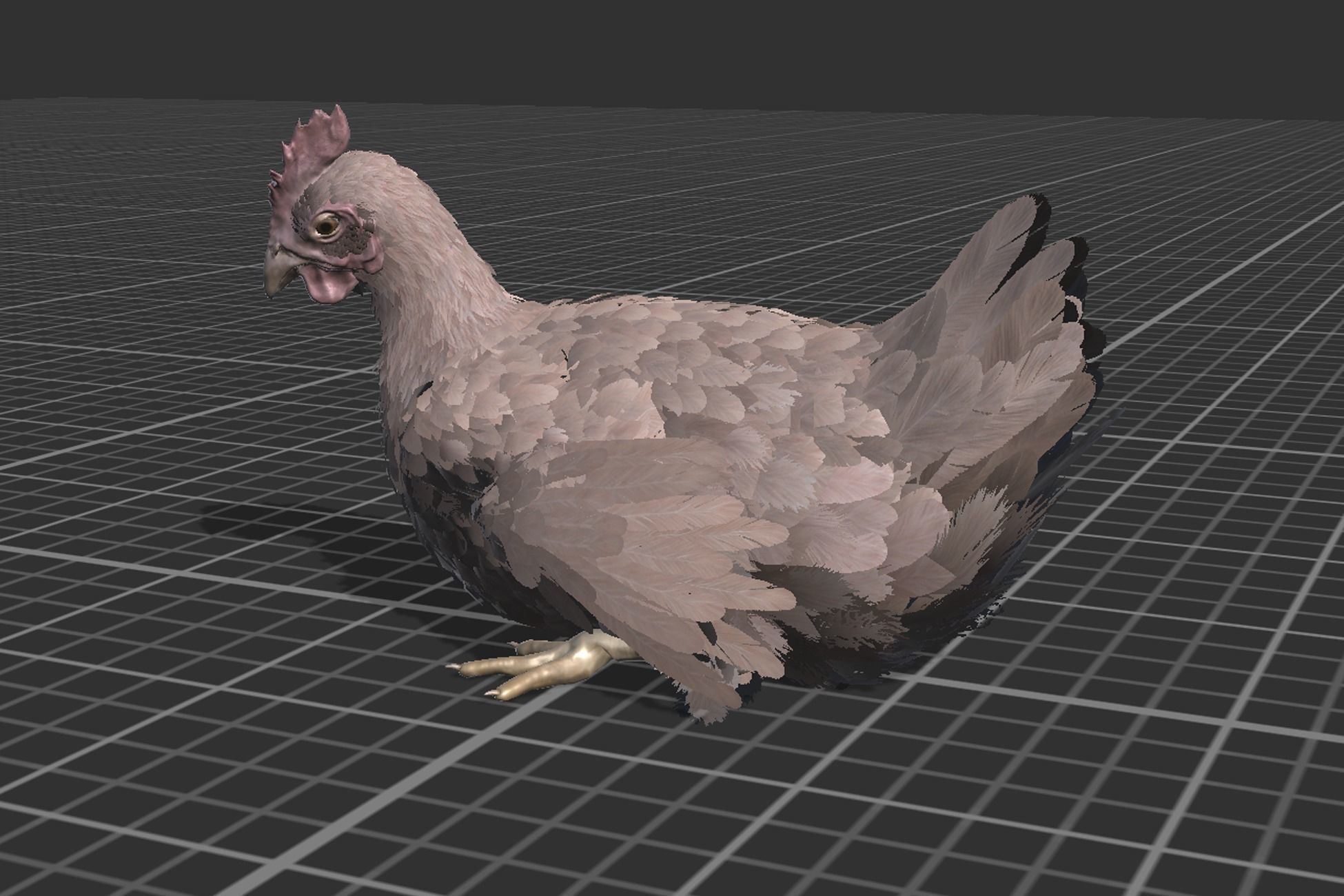 Pack of feathered chickens Low-poly 3D model_15
