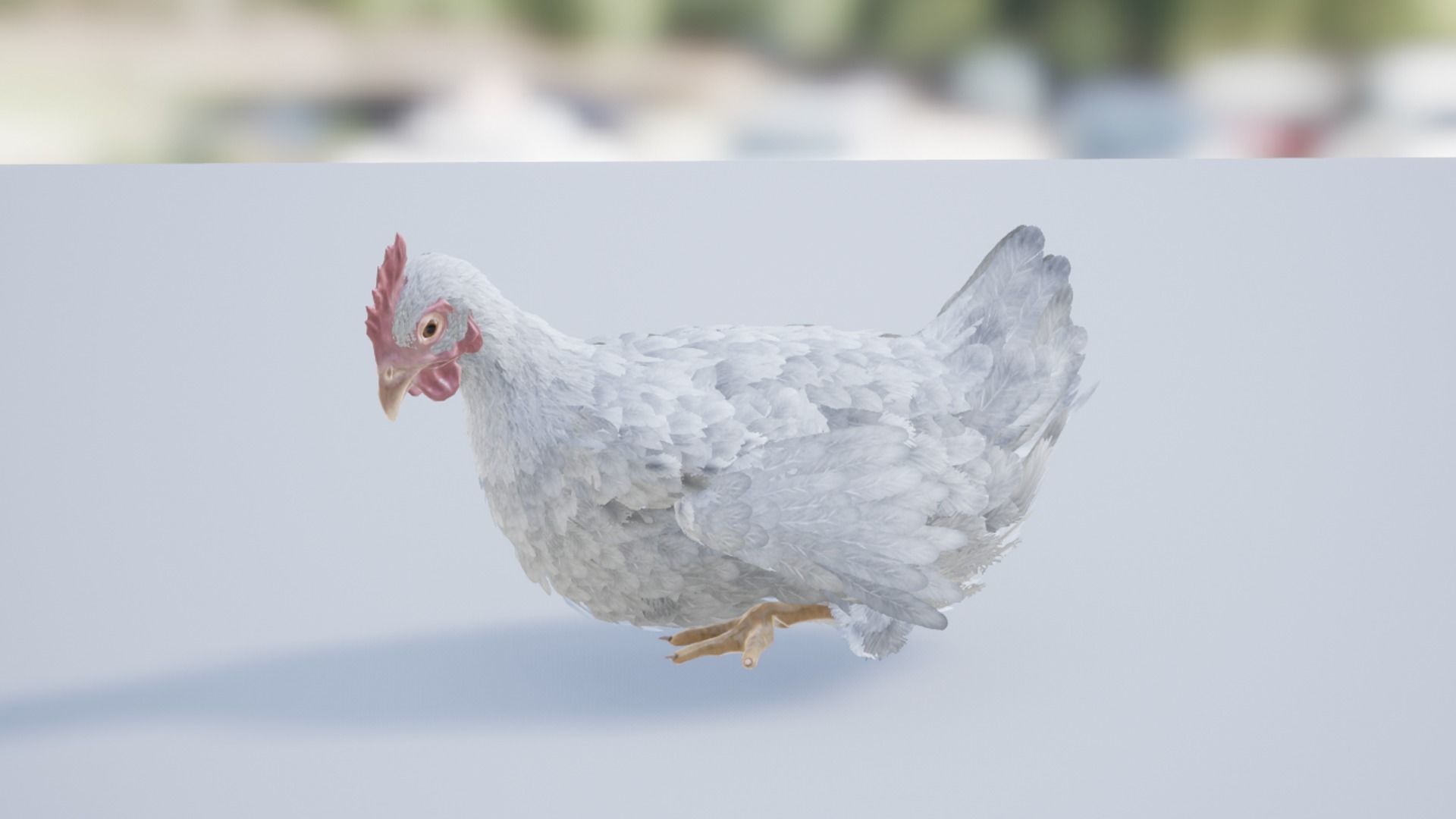 Pack of feathered chickens Low-poly 3D model_18