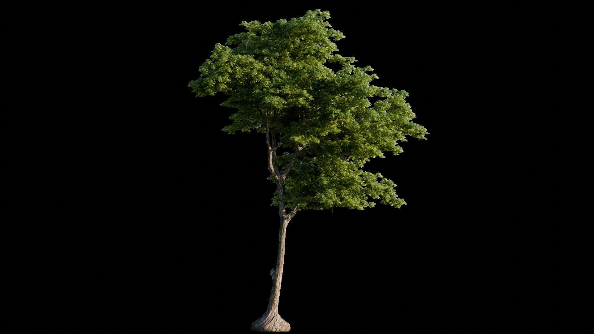 Medieval Landscape 3d Scene 3D model_12