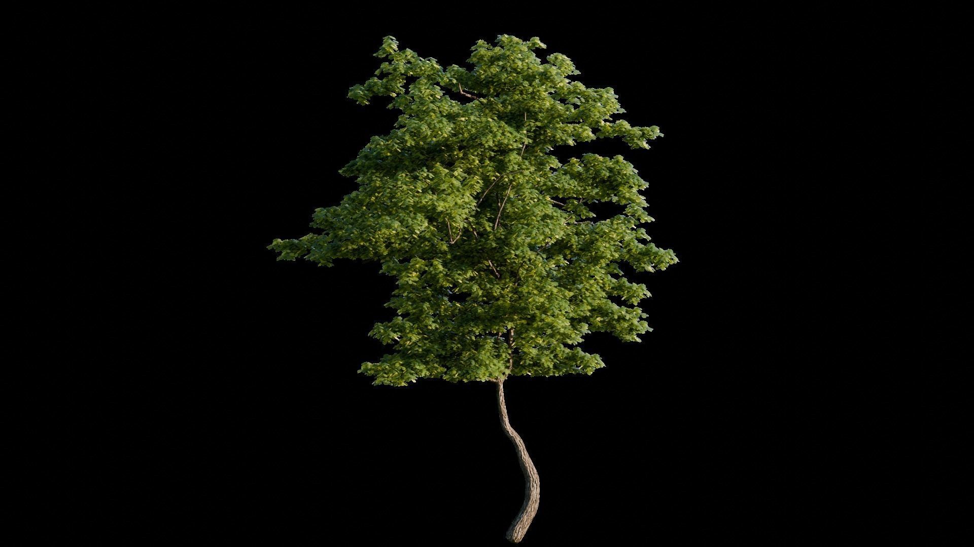 Medieval Landscape 3d Scene 3D model_18