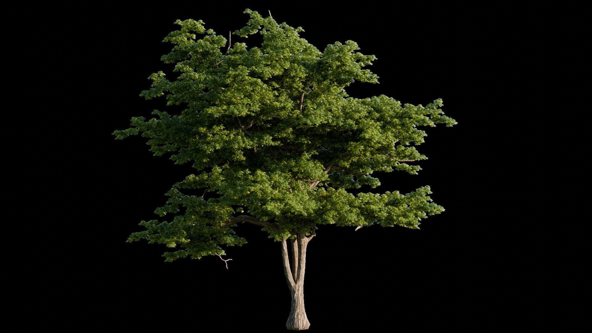 Medieval Landscape 3d Scene 3D model_8