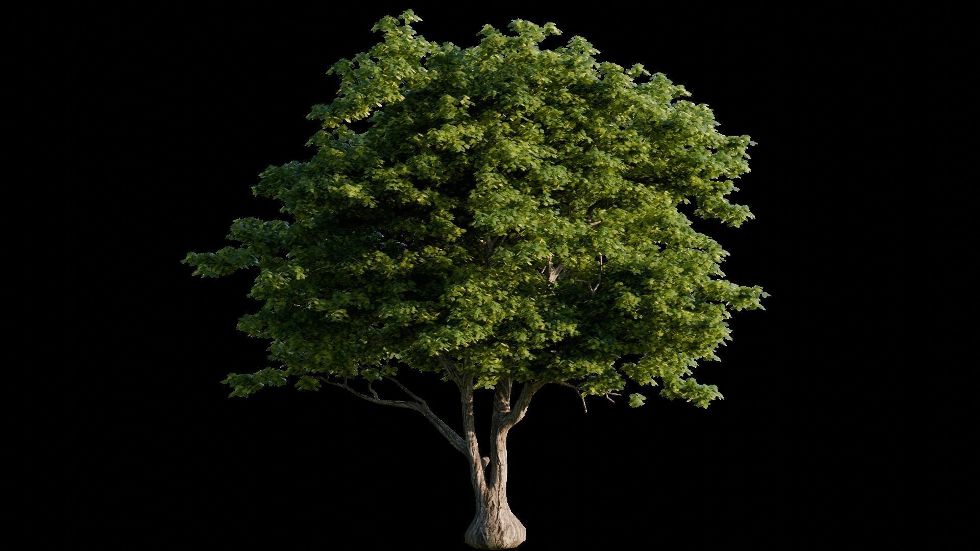 Medieval Landscape 3d Scene 3D model_10