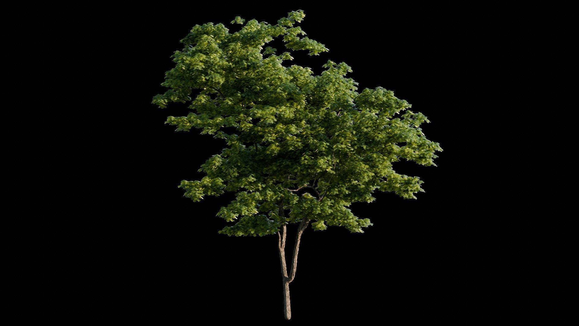 Medieval Landscape 3d Scene 3D model_14