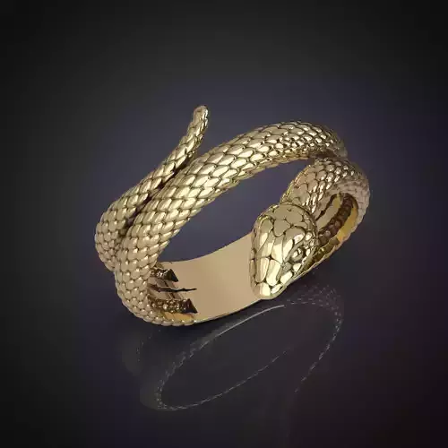 A SNAKE SHAPED RING Printable Model