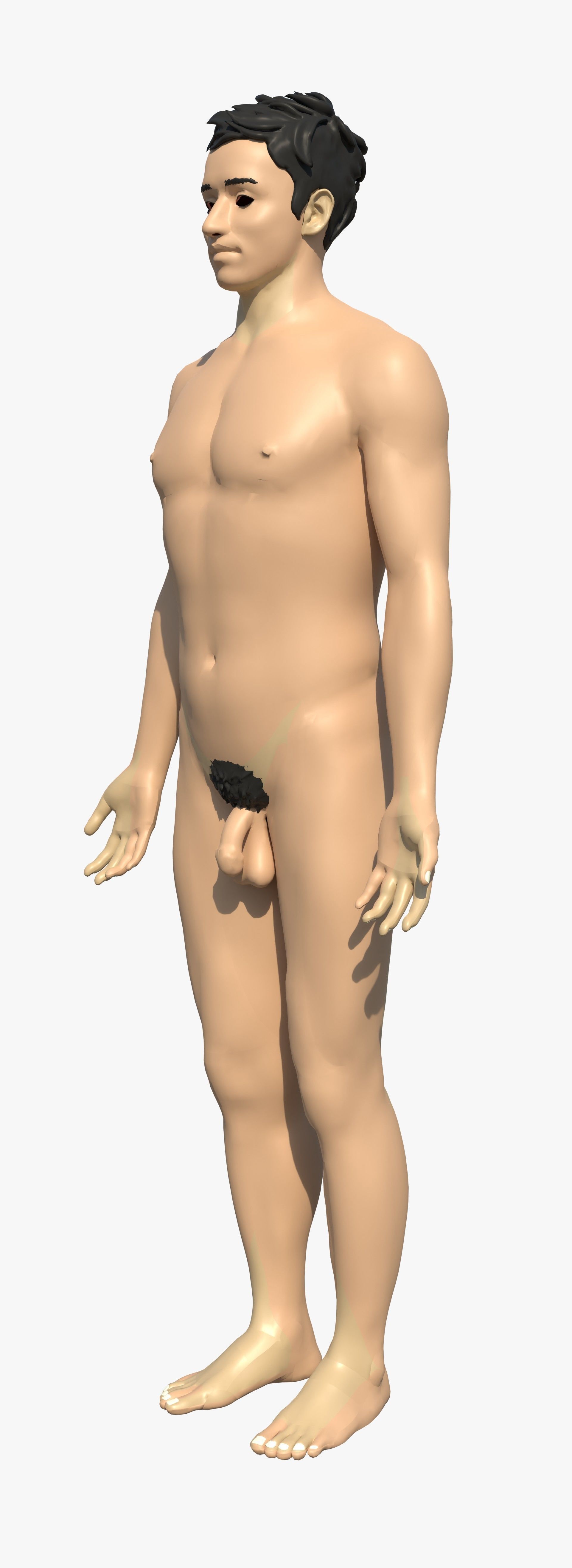 Human Body Model 3D model_1