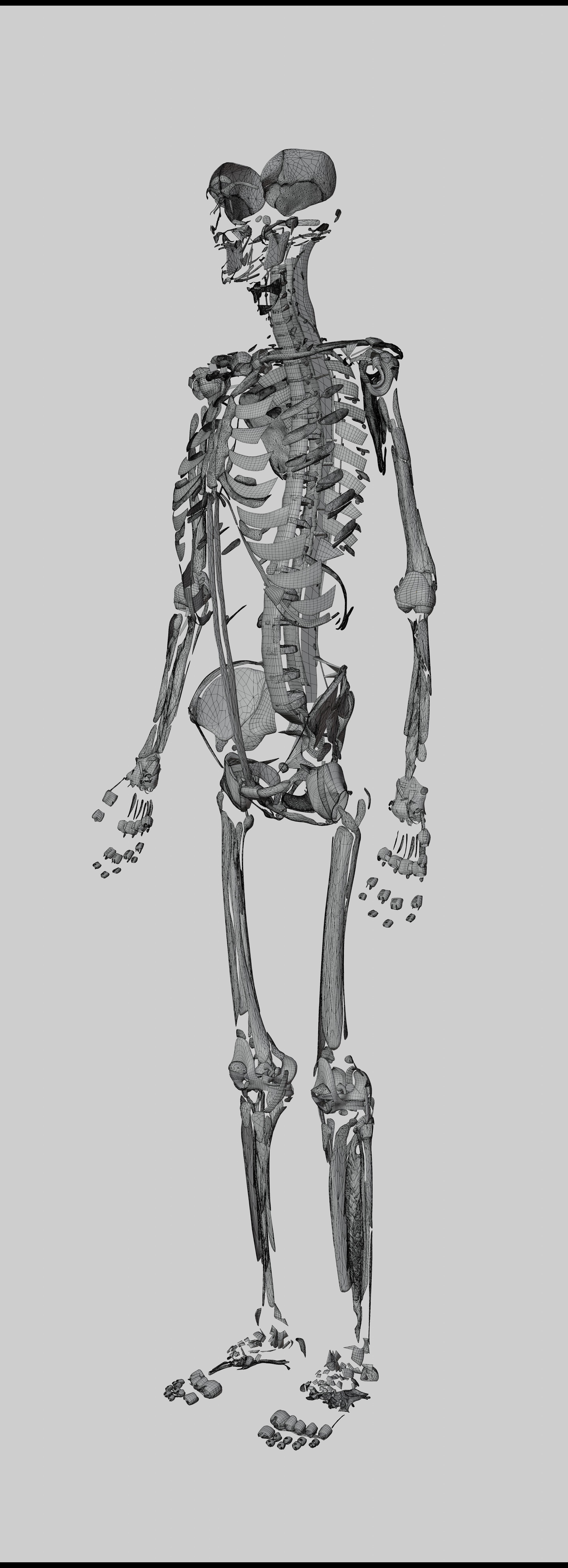 Human Body Model 3D model_15