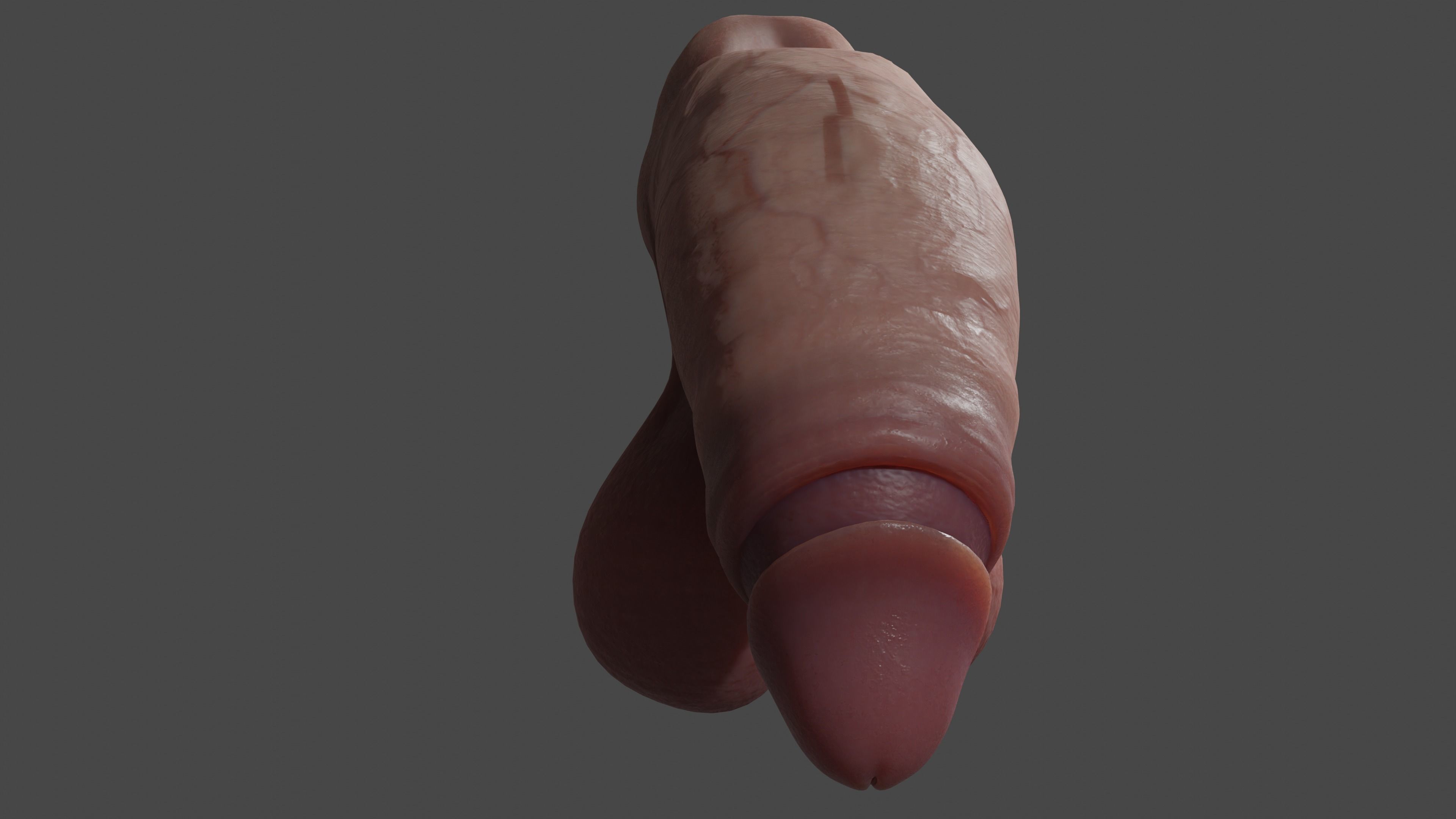 Thick Penis and Balls Lowpoly Rigged Low-poly 3D model_9