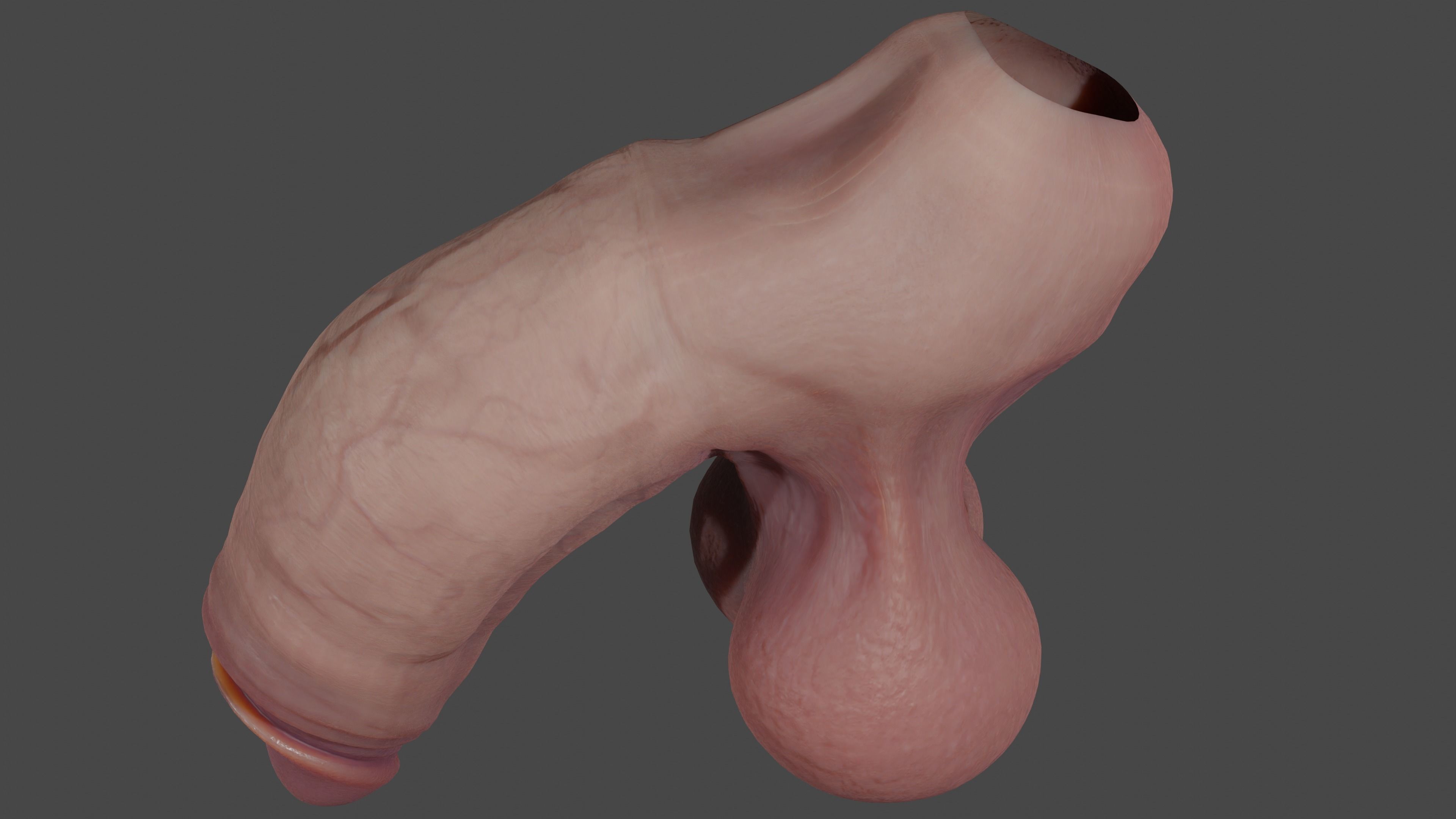 Thick Penis and Balls Lowpoly Rigged Low-poly 3D model_6