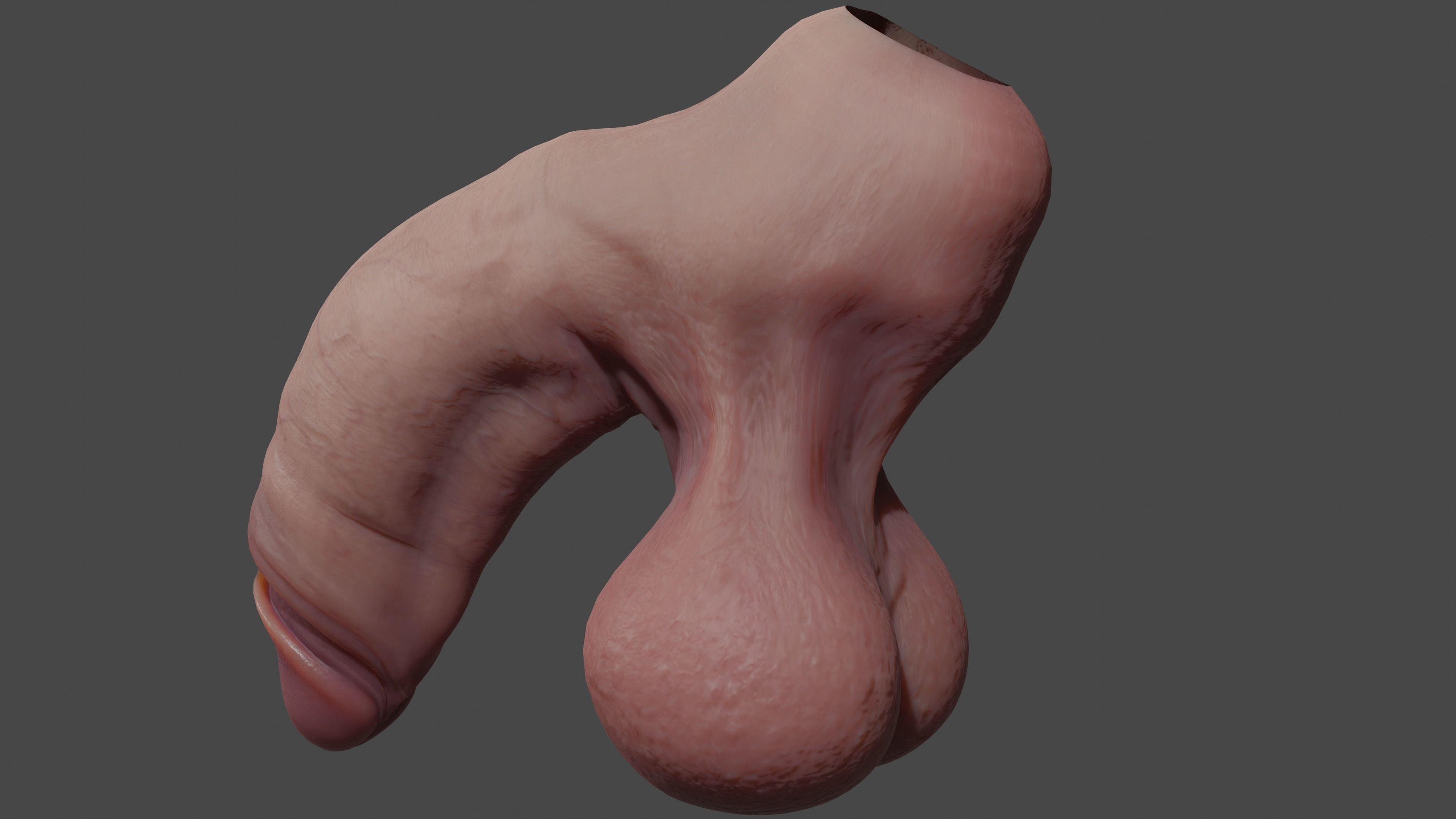 Thick Penis and Balls Lowpoly Rigged Low-poly 3D model_5