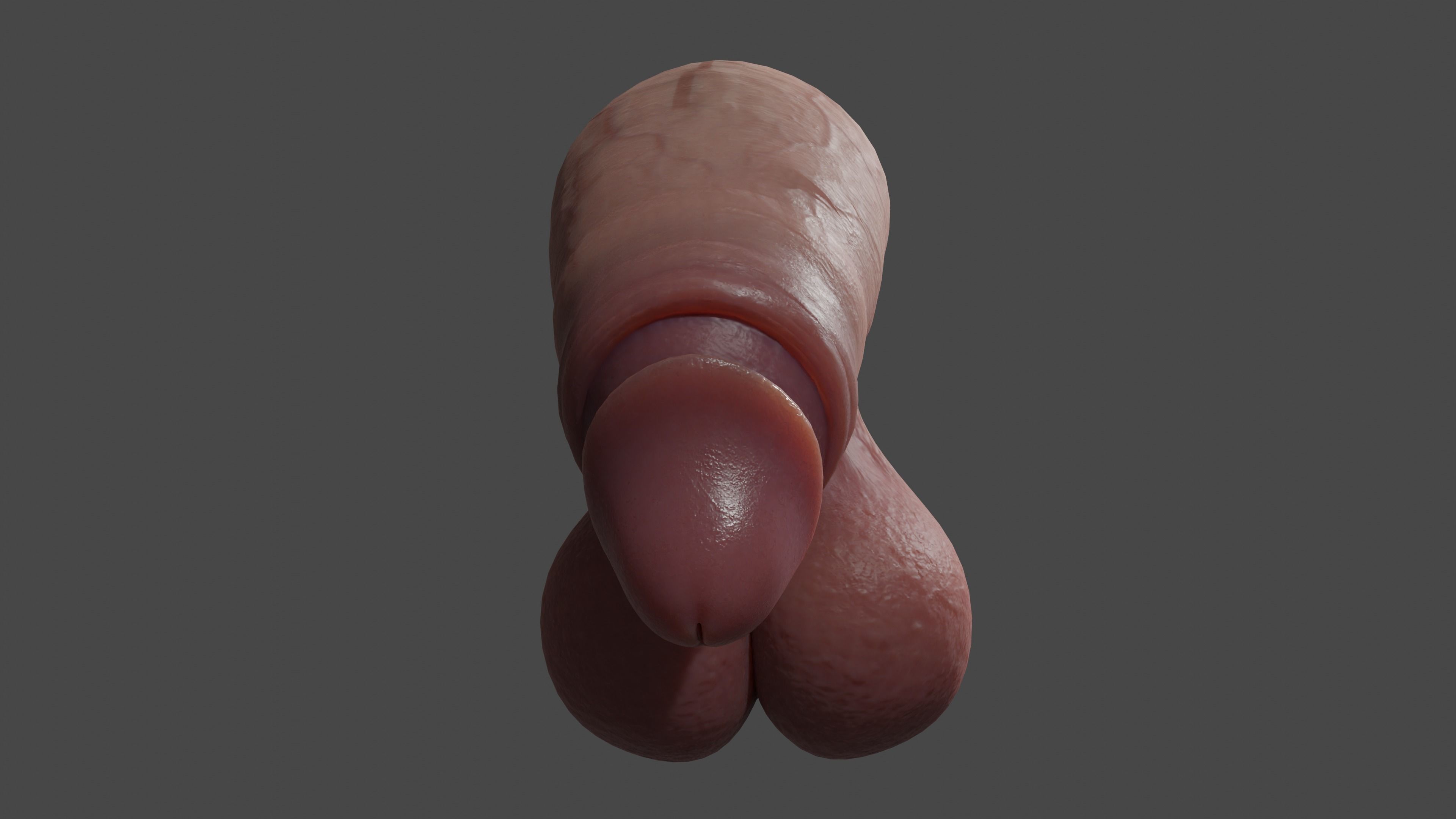 Thick Penis and Balls Lowpoly Rigged Low-poly 3D model_4