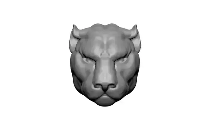Tiger head