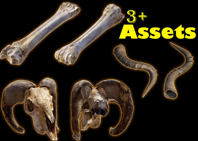 Skull Pack 3D model