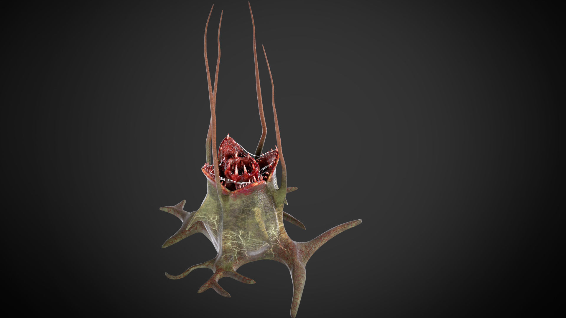 Plant monster  3D model_2