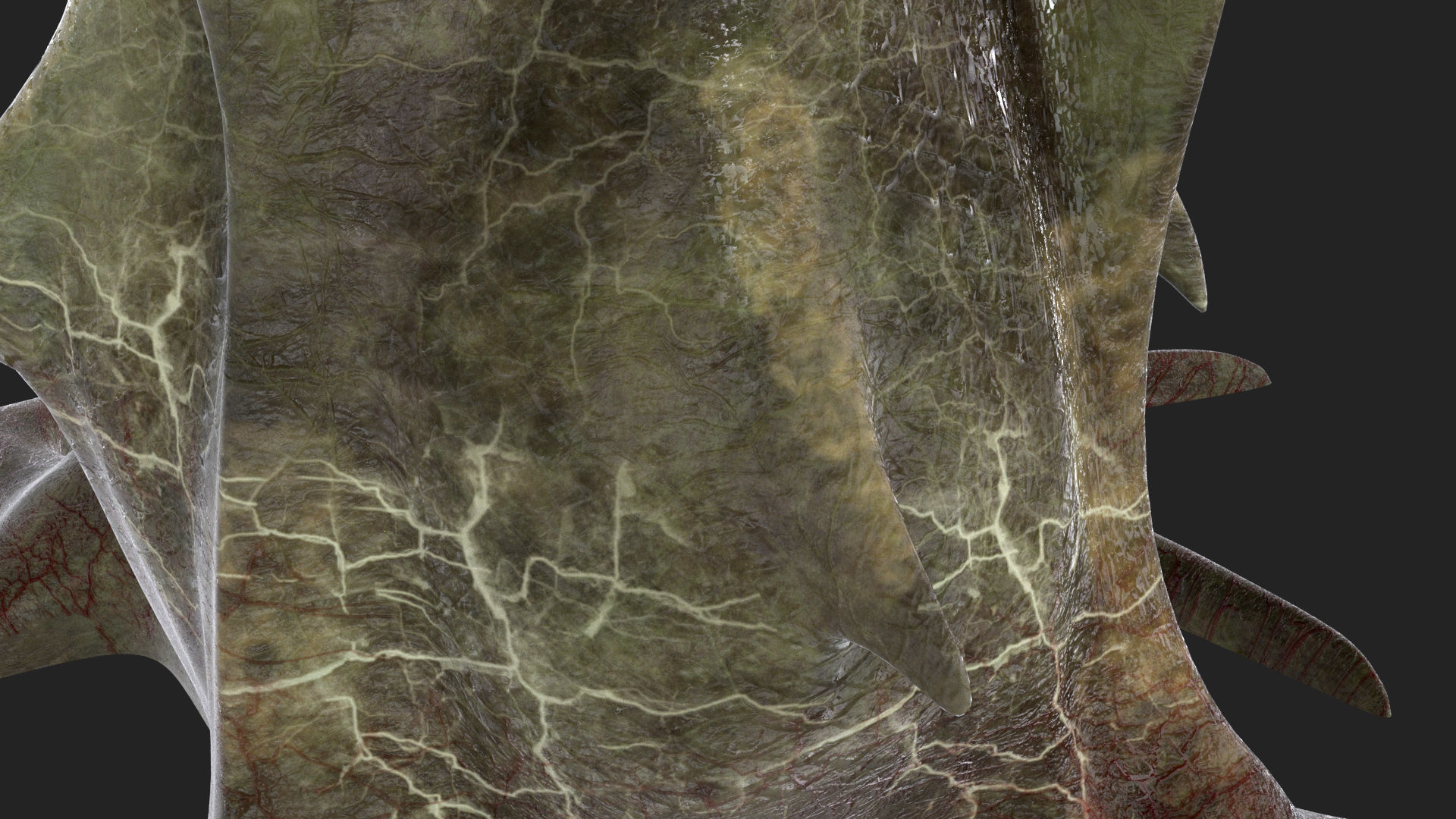 Plant monster  3D model_4