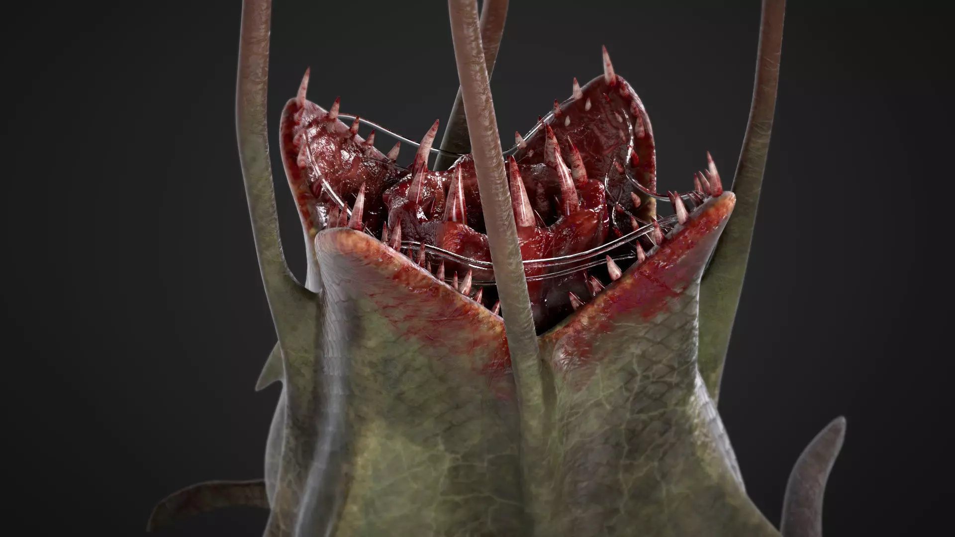 Plant monster  3D model_0