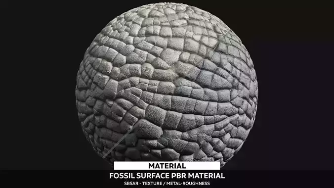 Fossil Surface Material - PBR