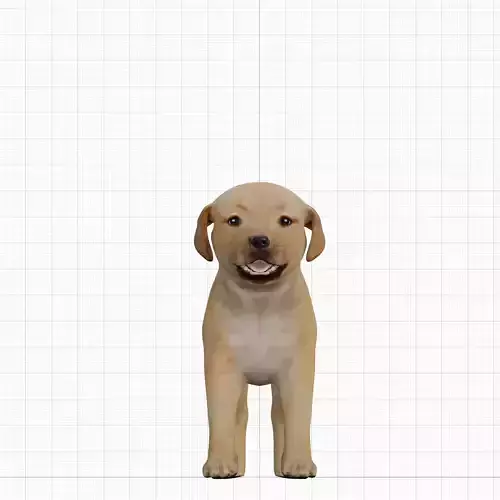 Golden Retriever Puppy Dog Low-poly 3D model