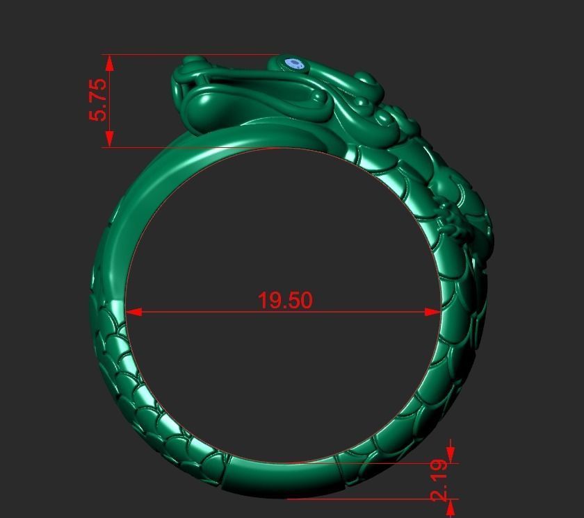 THE DRAGON RING Printable Model 3D print model_2
