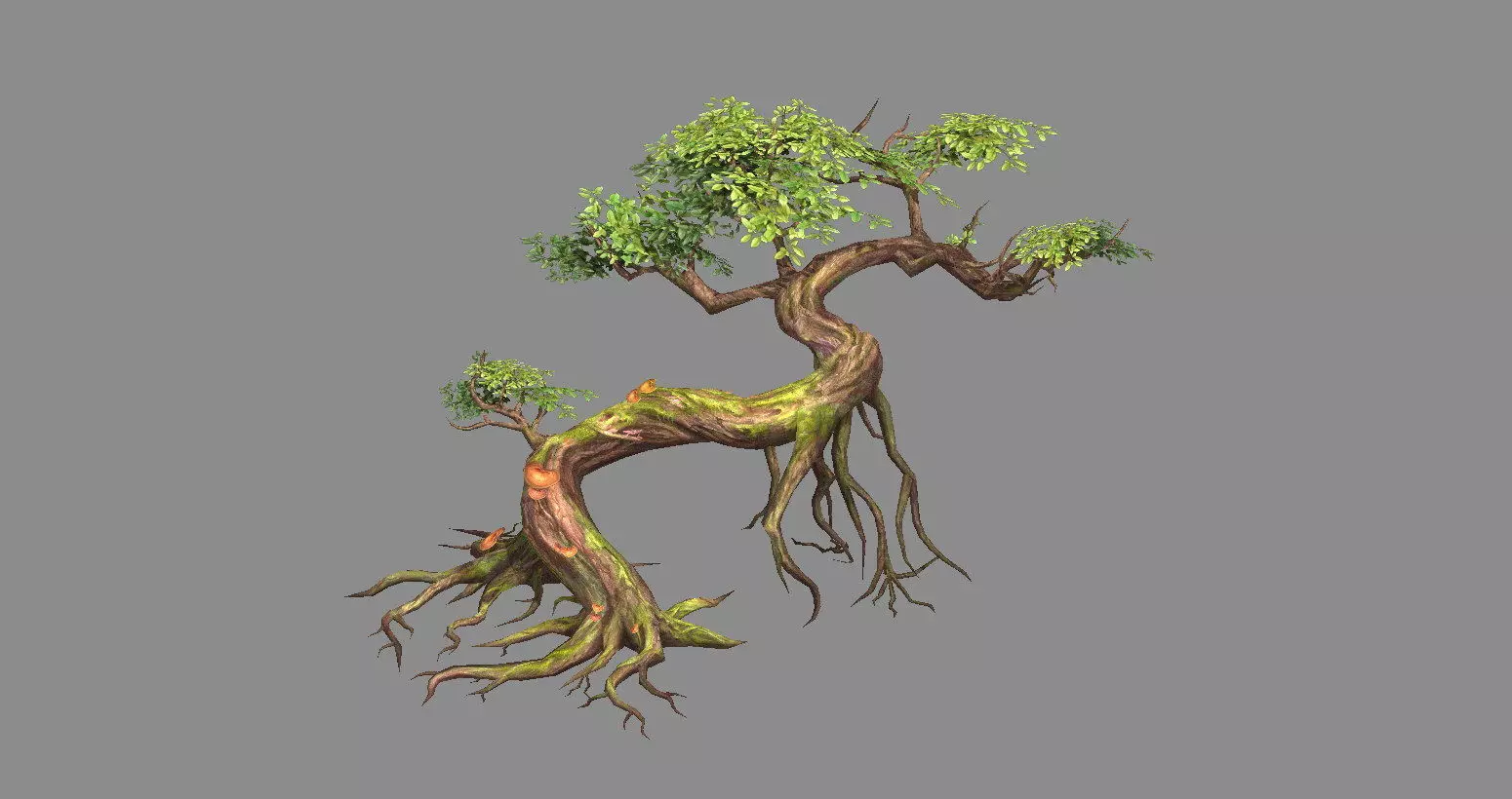 Curved vines - Swamp trees - jungle roots Low-poly 3D model