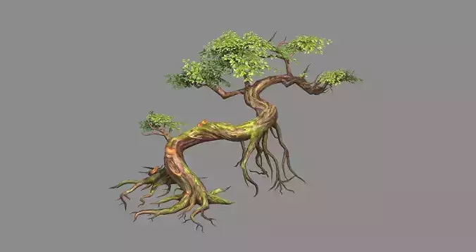 Curved vines - Swamp trees - jungle roots