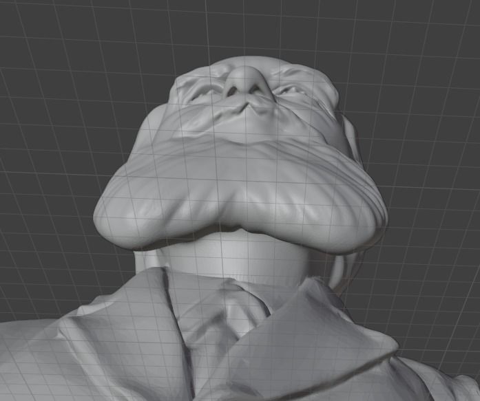 Ernst Haeckel 3D print model_17