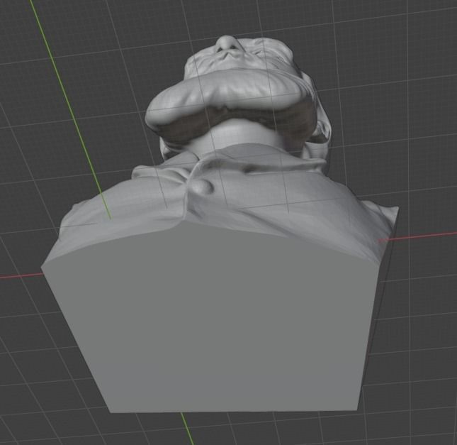 Ernst Haeckel 3D print model_7