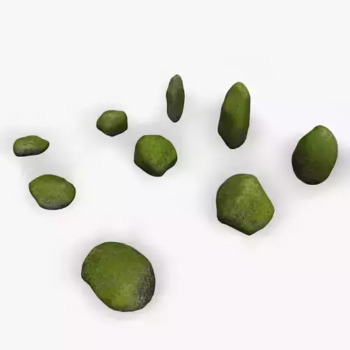 Assorted Boulders - Moss
