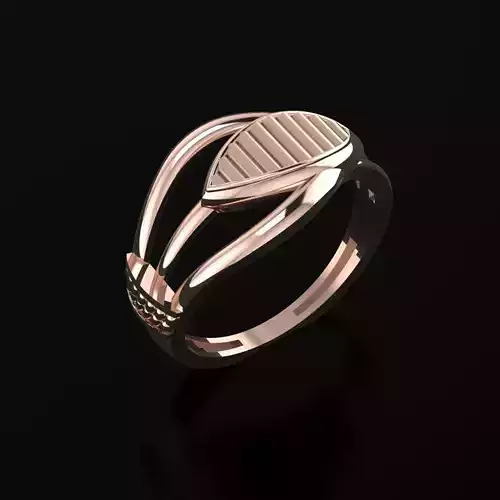 RING SIZE 18 NEW MODEL -GOLD PARK